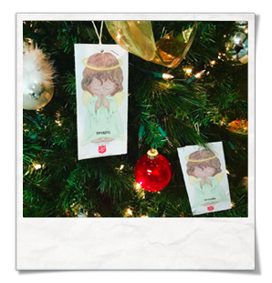 Key West Aloe Trending NOW!