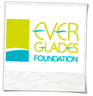 The Key West In The Mix