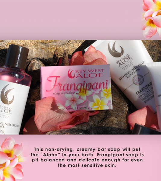 Key West Aloe Promo IMG