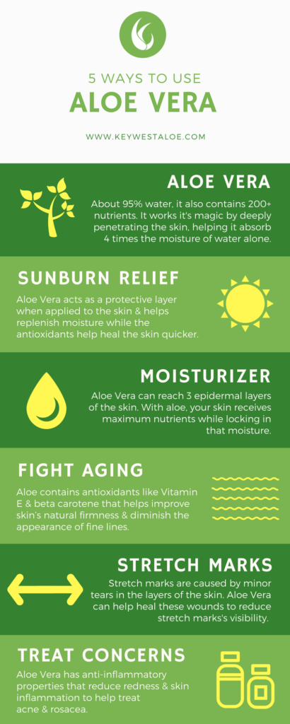 5 ways to use Aloe Vera Infographic