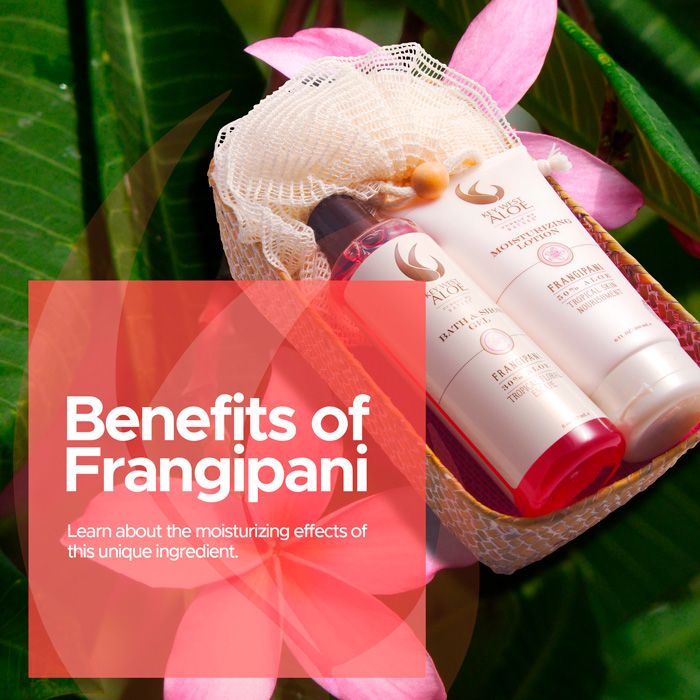 The Benefits of Frangipani