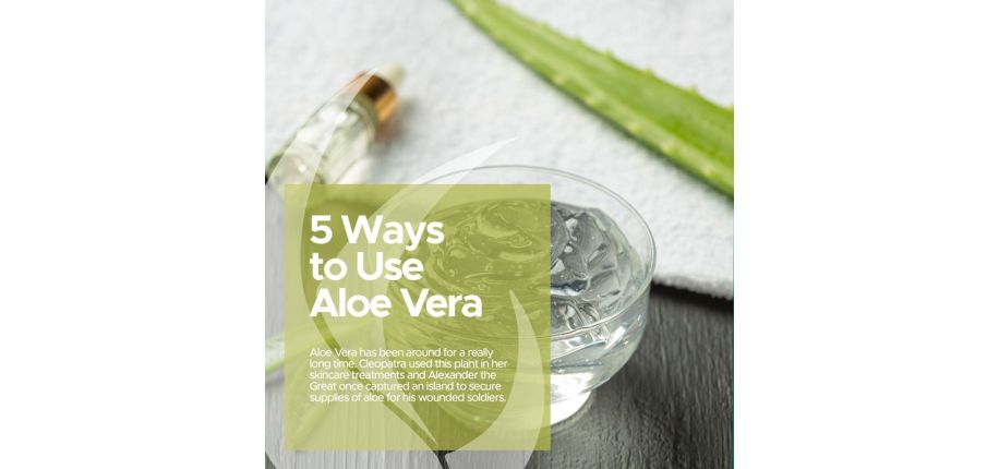 5 Ways to Use Aloe Vera