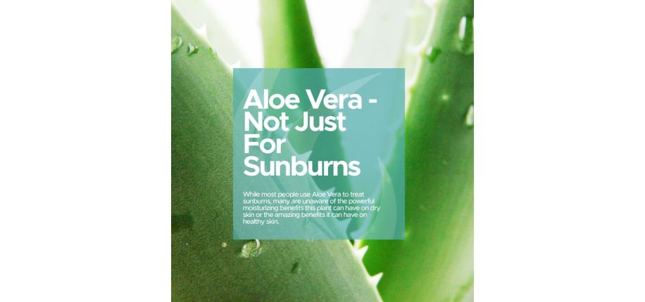 Aloe Vera - Not Just For Sunburns
