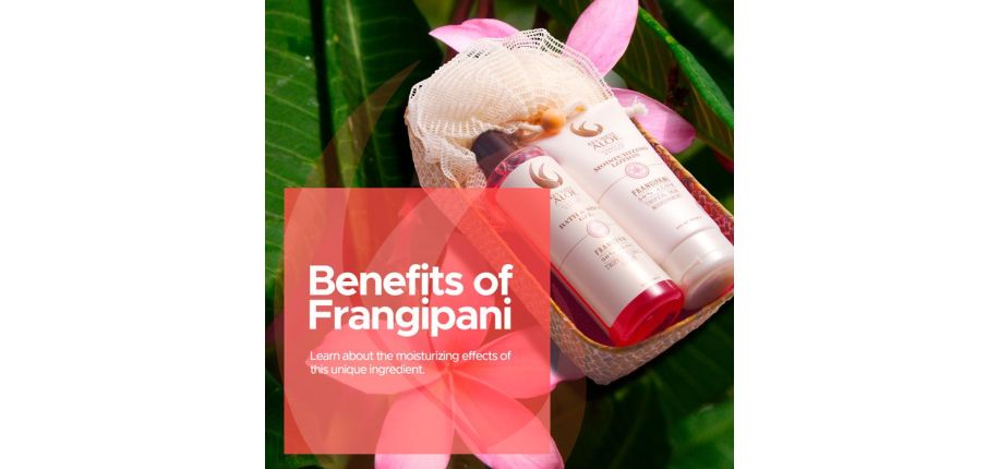 The Benefits of Frangipani