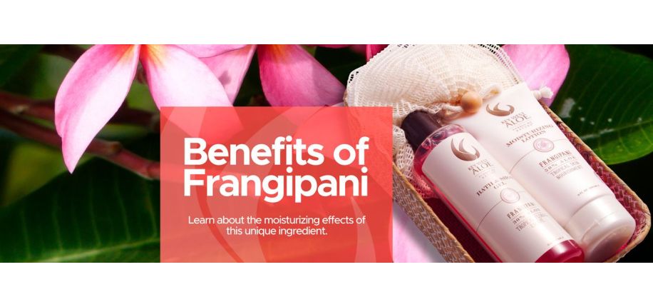 The Benefits of Frangipani