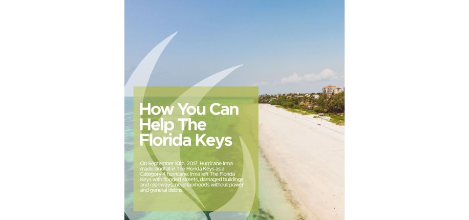 How Can You Help The Florida Keys