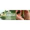 Jade Stone Facial Roller - Depuff & Tighten Your Skin