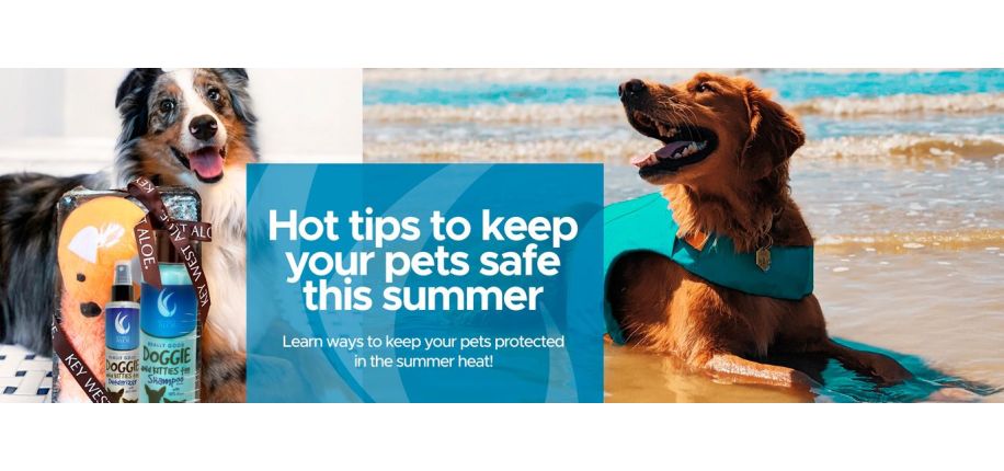 Hot Tips To Keep Your Pet Safe This Summer