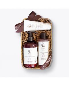 K92975 Frangipani Delight Basket