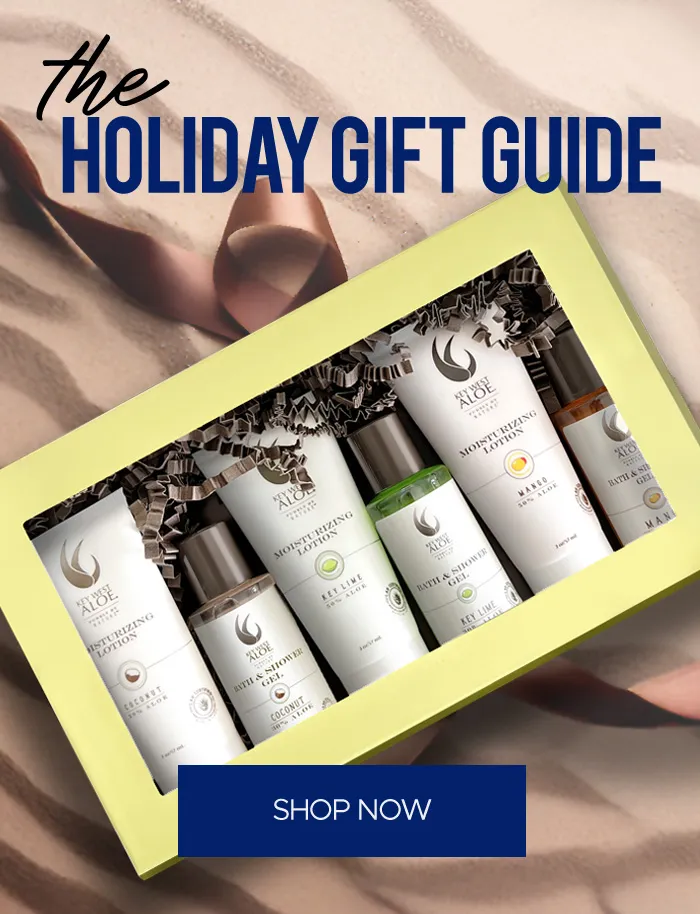 Holiday Gift Guide