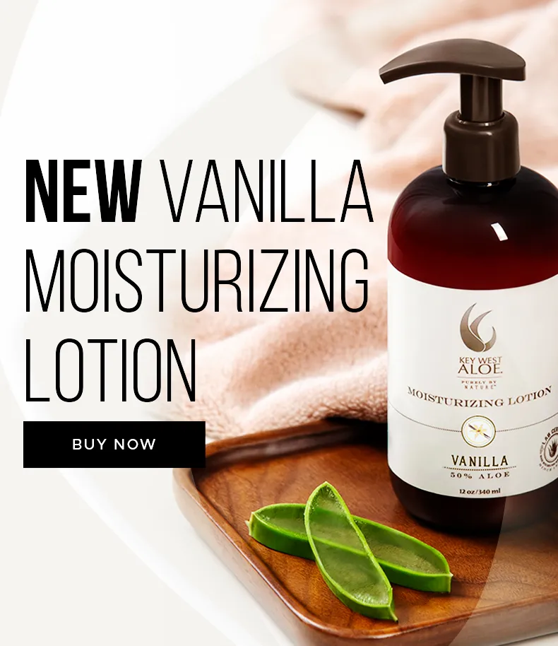 New Vanilla Lotion 12oz