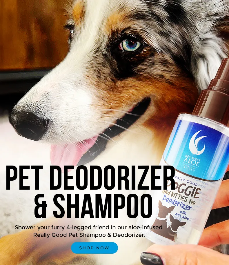 Shop Pet Deodorizer and Shampoo