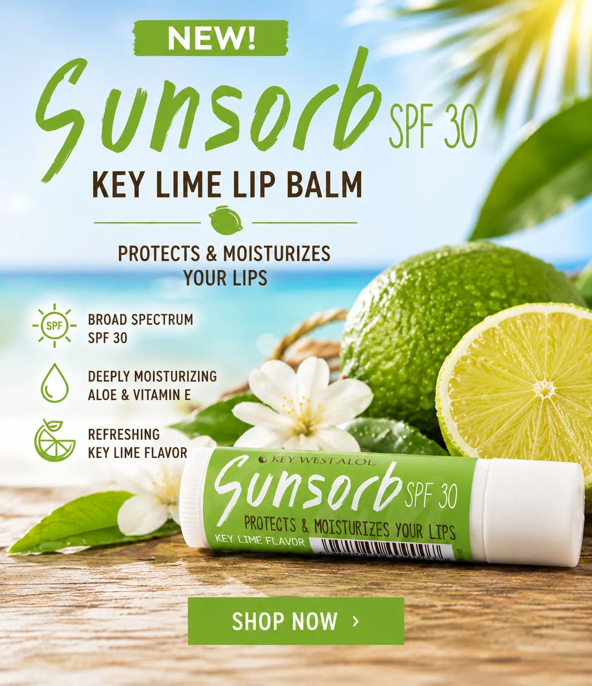 NEW SUNSORB KEY LIME LIP BALM