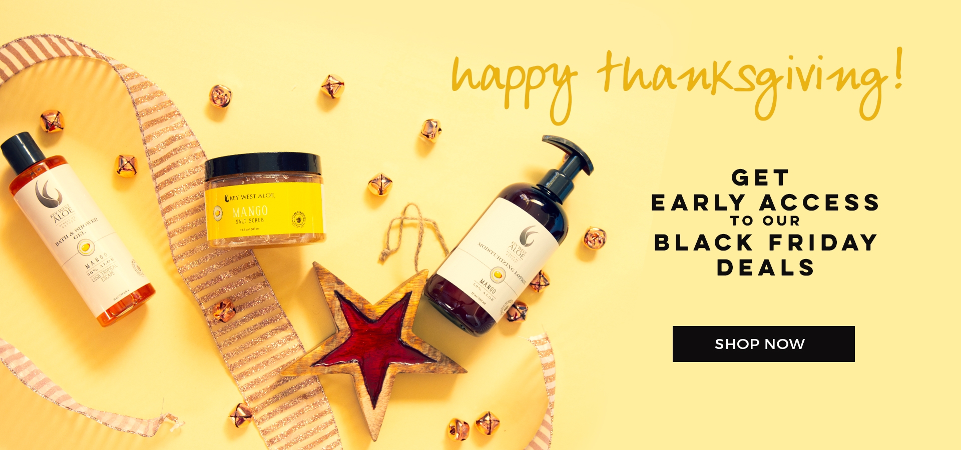 Happy Thanksgiving! Early Black Friday Access NOW