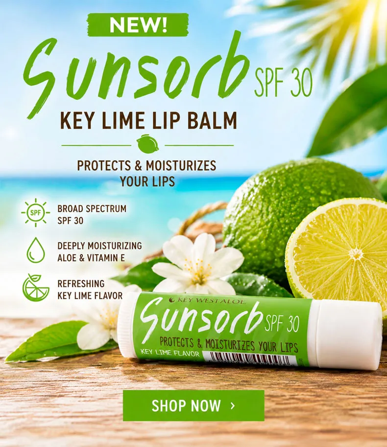 NEW SUNSORB KEY LIME LIP BALM